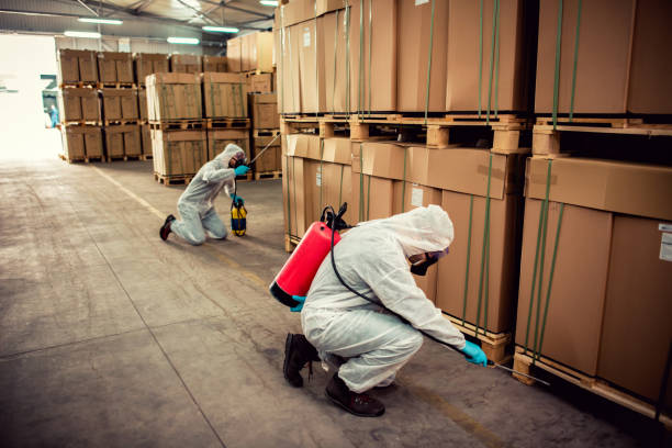 Best Pest Control for Restaurants  in Avondale, LA