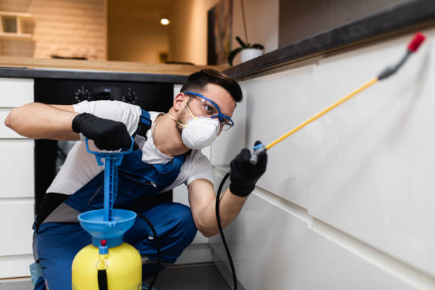 Best Emergency Pest Control  in Avondale, LA