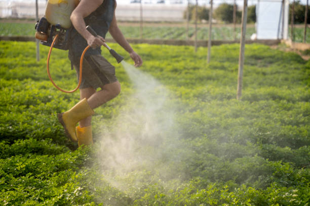 Best Best Pest Control Companies  in Avondale, LA